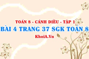 Bài 4 trang 37 SGK Toán 8 tập 1 Cánh Diều